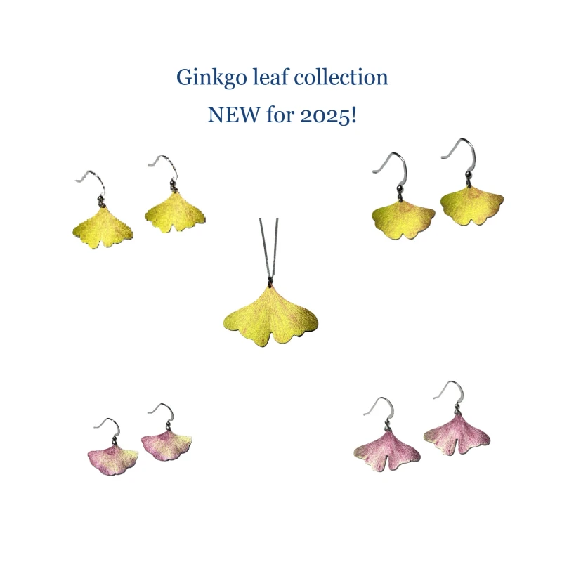 Ginkgo leaf collection