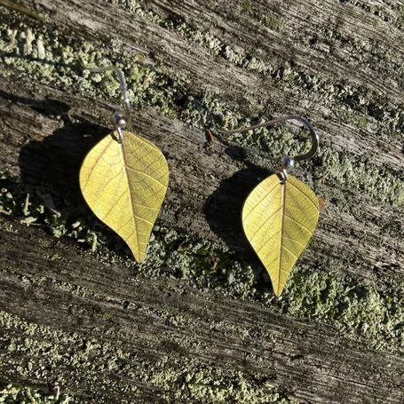Silver Birch leaf earrings