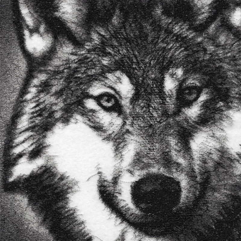 Isangrim The Wolf 