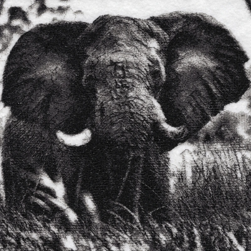 Kikuu The Elephant