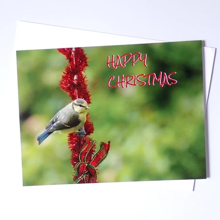 Blue Tit Christmas