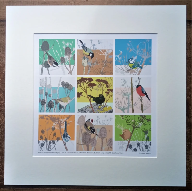 Nine UK Songbirds - Limited Edition Giclee Print