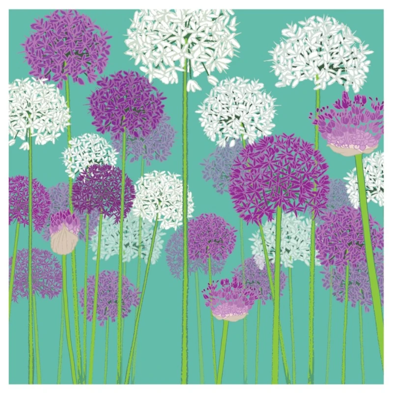 Purple and White Alliums Greetings Card