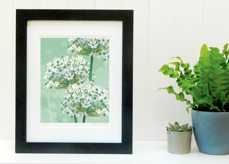Allium Art Print - White Allium