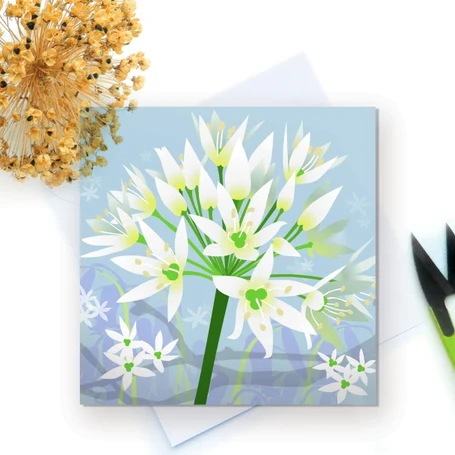 Allium Range - Woodland Allium Card