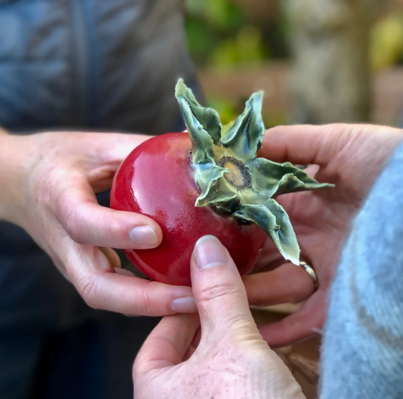 Handing over rosehip