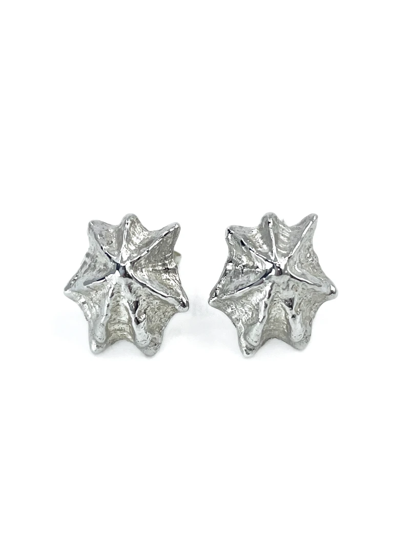 Star limpet shell stud earrings