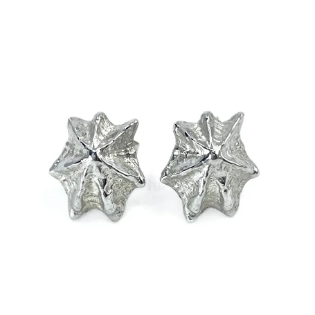 Star limpet shell stud earrings