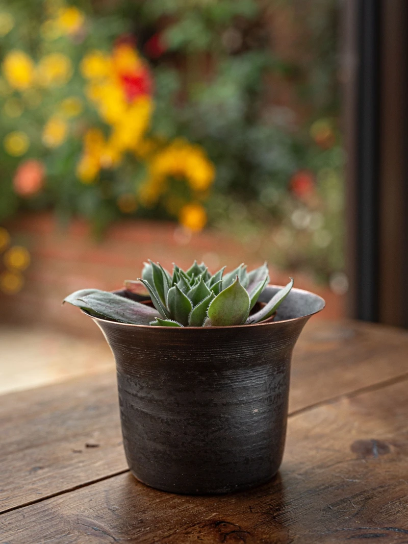 Blackened Copper Pot