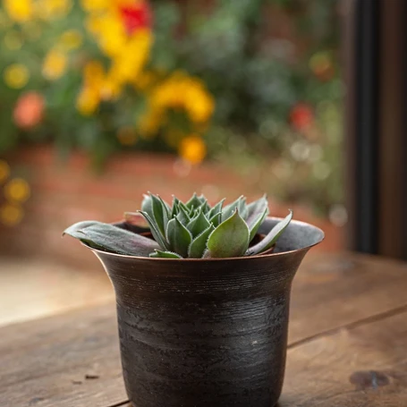 Blackened Copper Pot