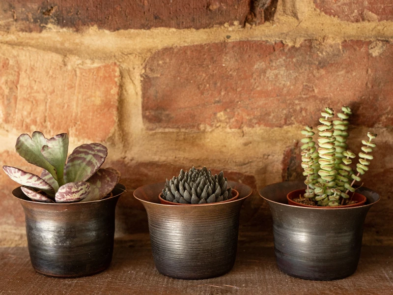 Set of three Blackened Copper Popts