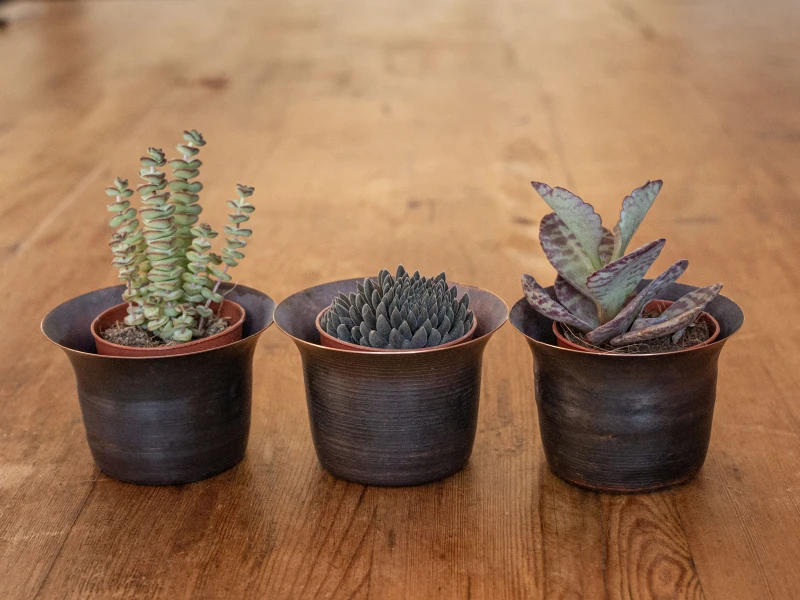 Set of three Blackened Copper Popts