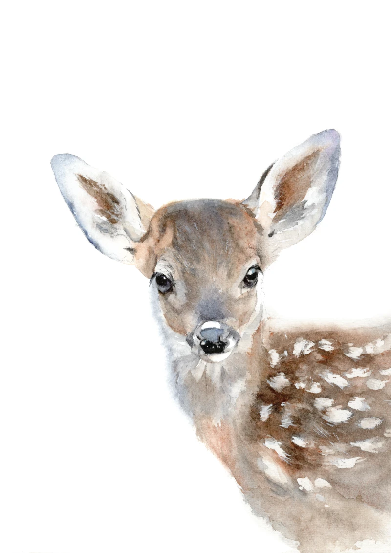 'Baby Dee' Fawn