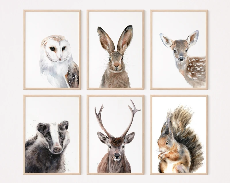 Wildlife Watercolour Giclee Prints