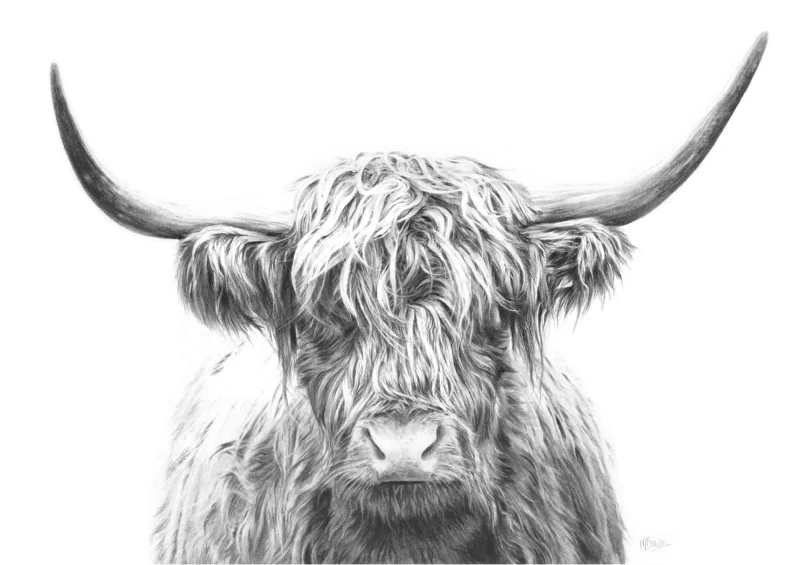 'Hangus' Highland Cow Giclee Print