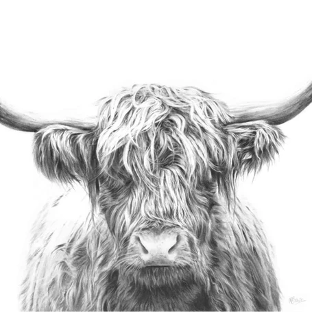 'Hangus' Highland Cow Giclee Print