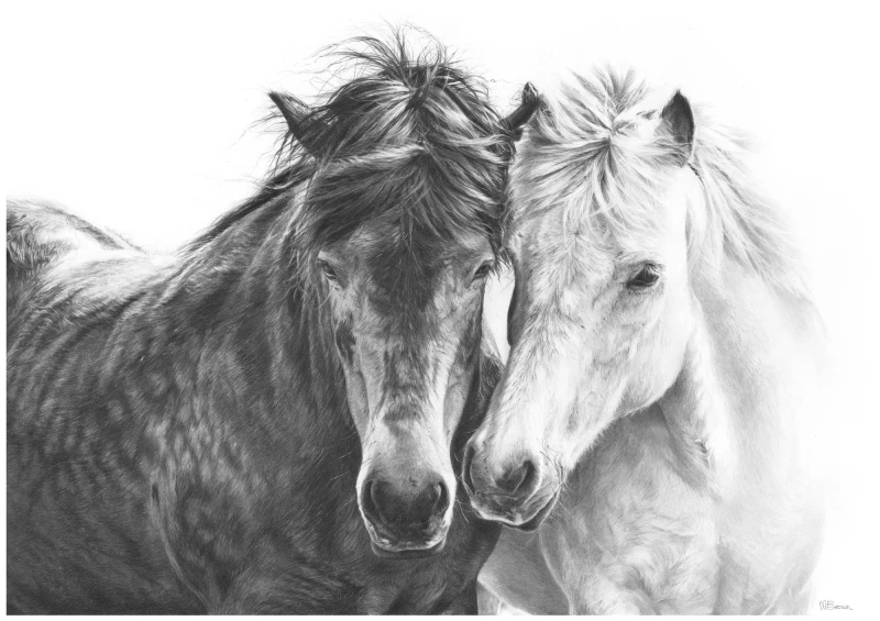 'Horse Love' drawing Giclee Print