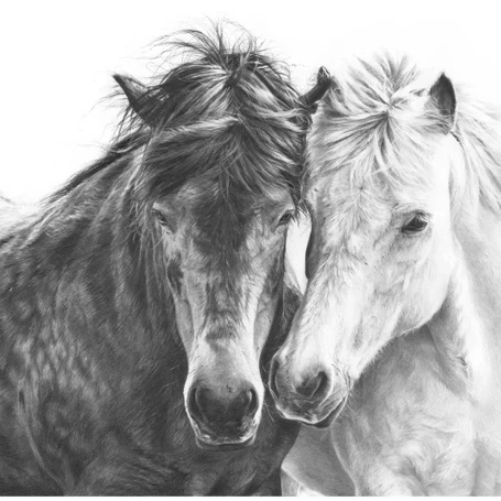 'Horse Love' drawing Giclee Print