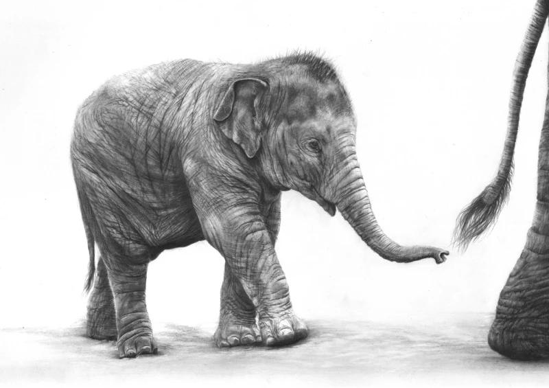 'Keep Up' Pencil drawing, Giclee Print