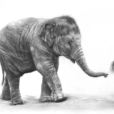 'Keep Up' Pencil drawing, Giclee Print