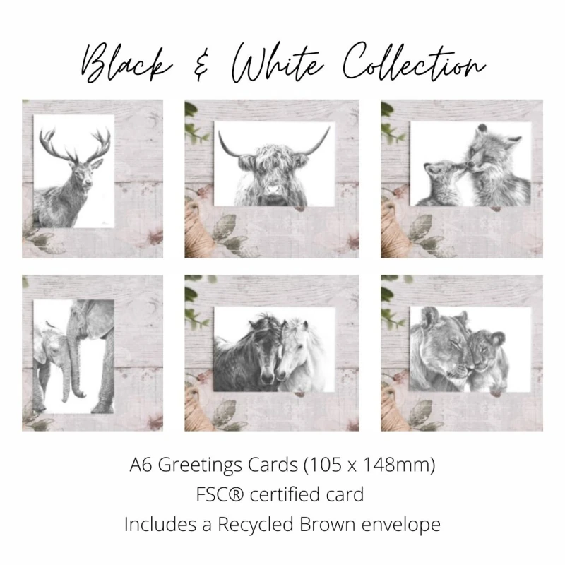 Fine Art Greetings Cards