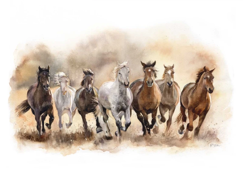'Wild Horses'