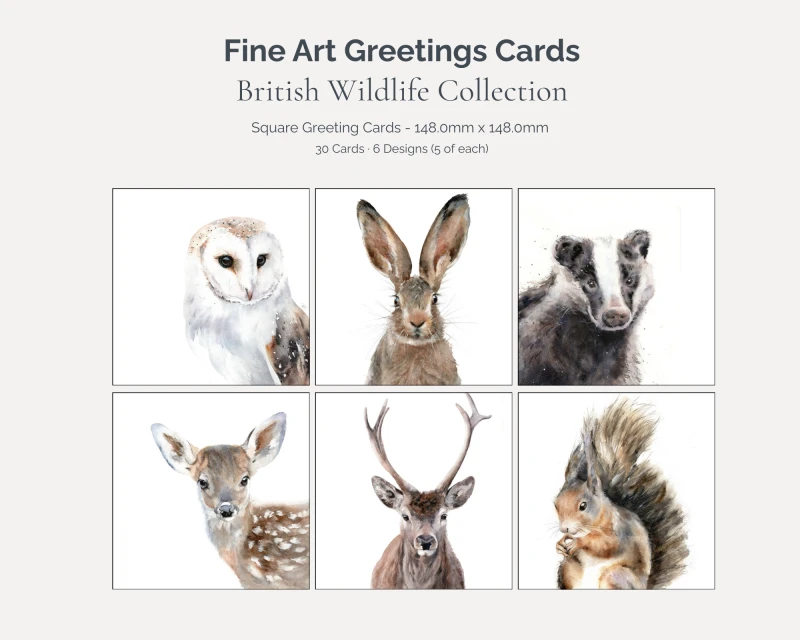 British Wildlife Art Card Bundle – 30 Cards