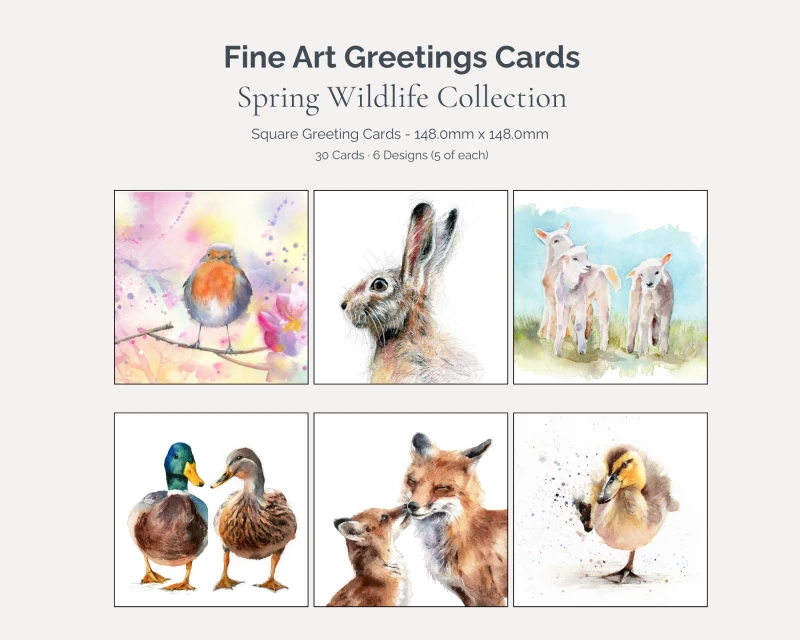 Spring Wildlife Art Card Bundle – 30 Cards