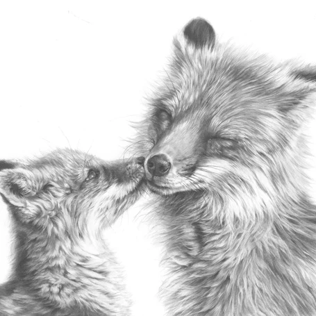 'Fox Kiss' Pencil Fine Art Print