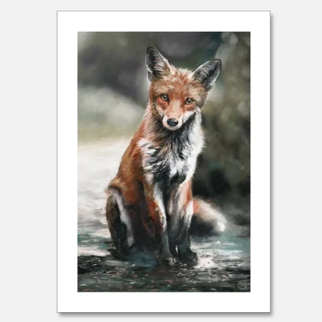 Fergus Fox - Fine Art Print