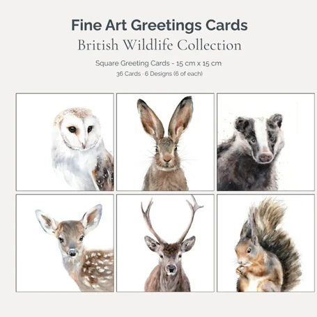 Watercolour Wildlife Collection Art Card Bundle – 36 Cards