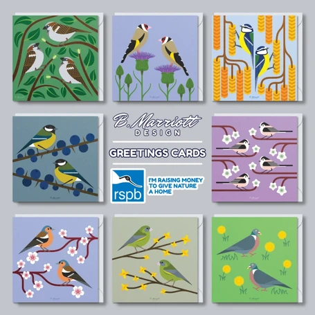 B. Marriott Design - Garden Birds Greetings Card Collection