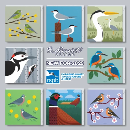 B. Marriott Design - Wildlife-Themed Greetings Card Collection