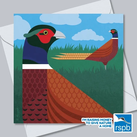 Pheasants In A Field - 100% Recycled Wildlife-Themed Greetings Card