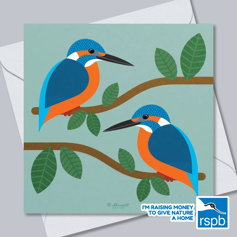 Kingfishers Perching - 100% Recycled Wildlife-Themed Greetings Card