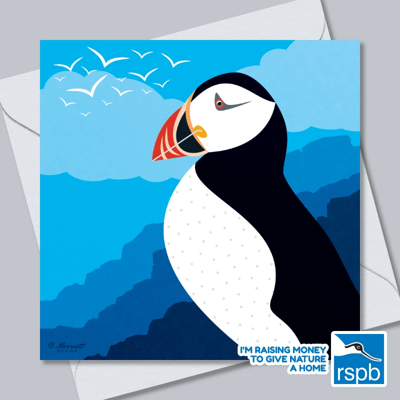 Puffin On The Cliffs - 100% Recycled Wildlife-Themed Greetings Card