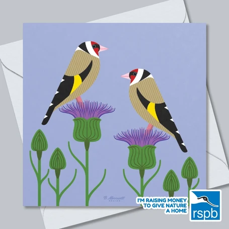 Goldfinches On Cornflowers - 100% Recycled Wildlife-Themed Greetings Card