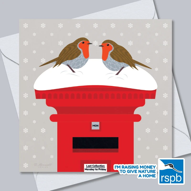 Robins On A Snowy Postbox - 100% Recycled Wildlife-Themed Christmas Card