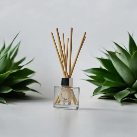 Aloe Vera and Coconut Water Reed Diffuser