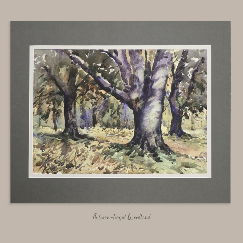 'Autumn-tinged Woodland' Fine Art Print